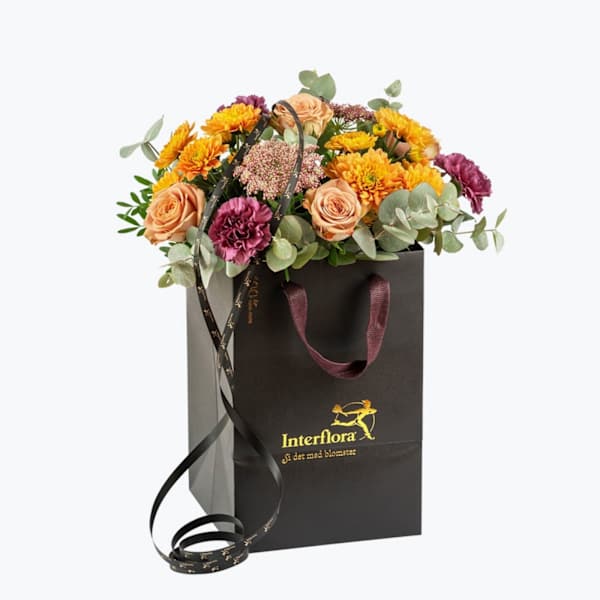 Autumn Warm small 240401