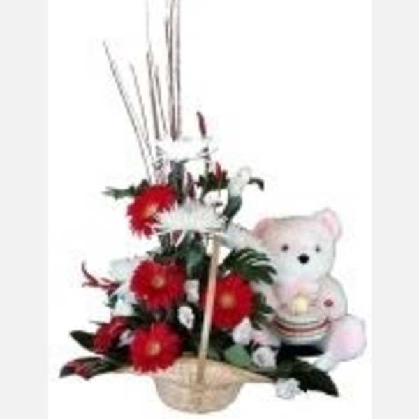 Basket for Baby