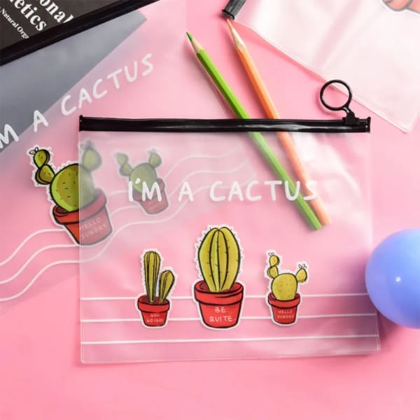 Cactus Pouch - Assorted - Set Of 2