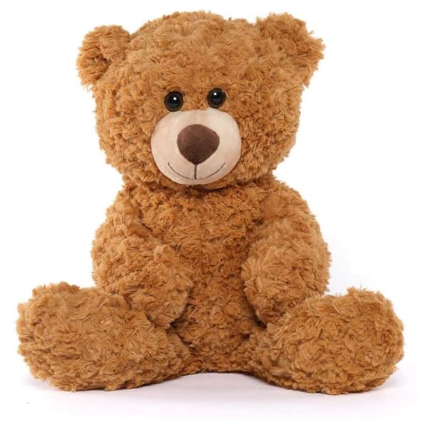 Cute Teddy