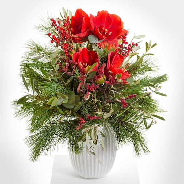 Festive Anticipation