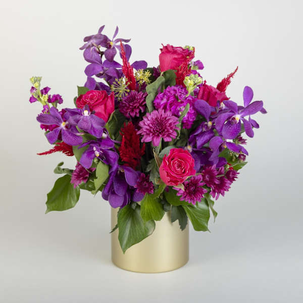 Flourishing Pink Roses