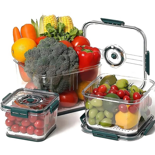 Food Storage Box - Freshness Timer - 1400 ml - Single Piece