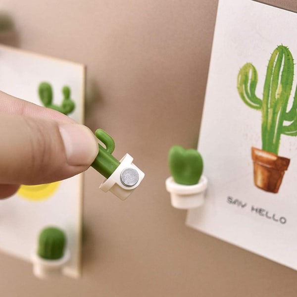 Fridge Magnet - Cactus - Set Of 6