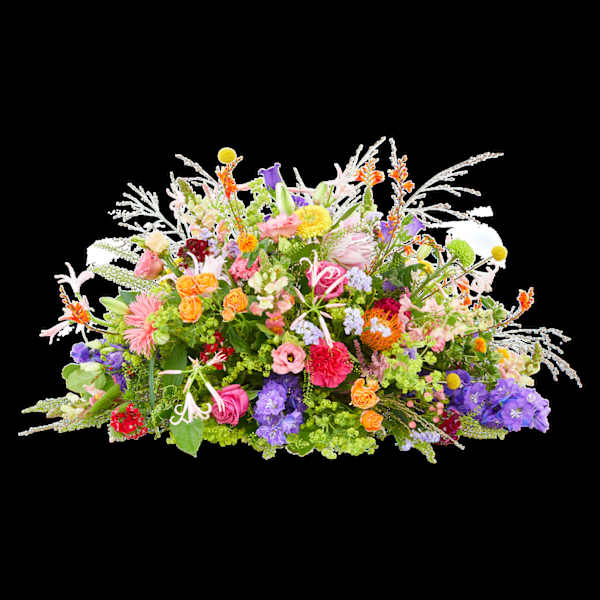 Funeral - Colour splendor