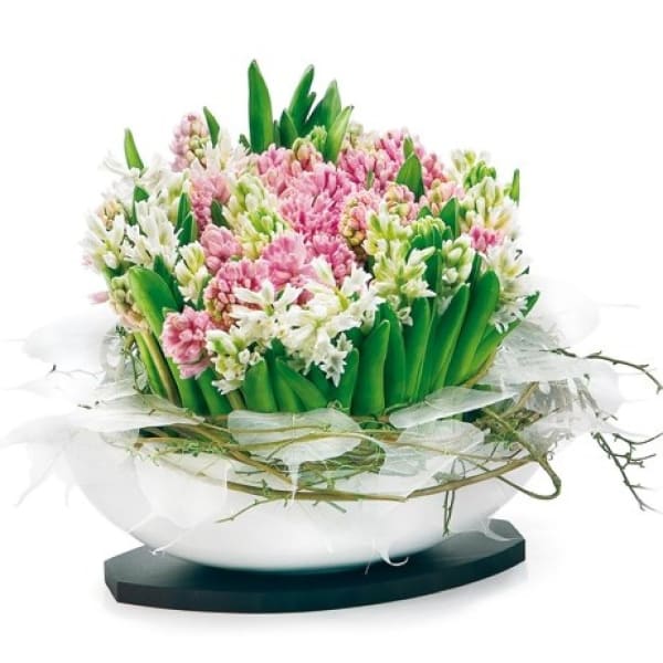 Hyacinths composition