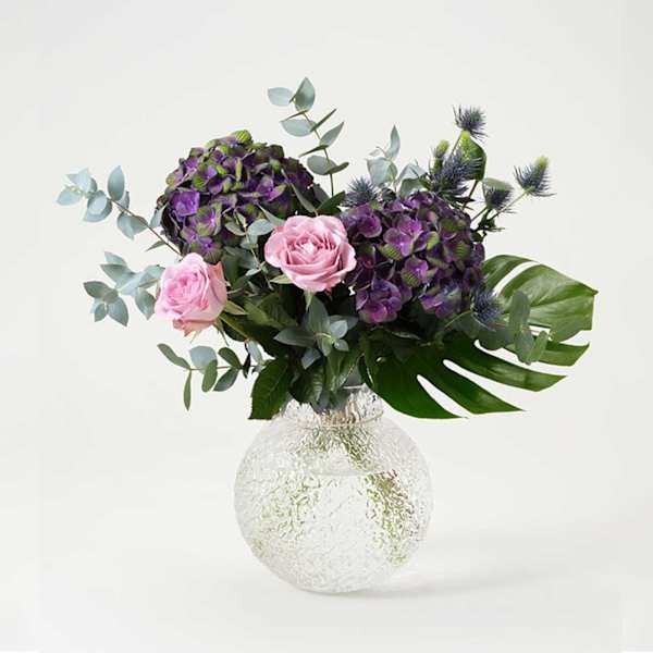 Hydrangea Dream