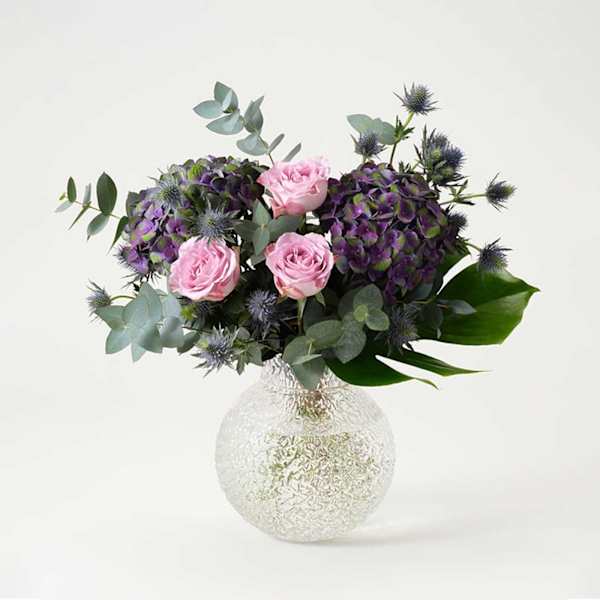 Hydrangea Dream