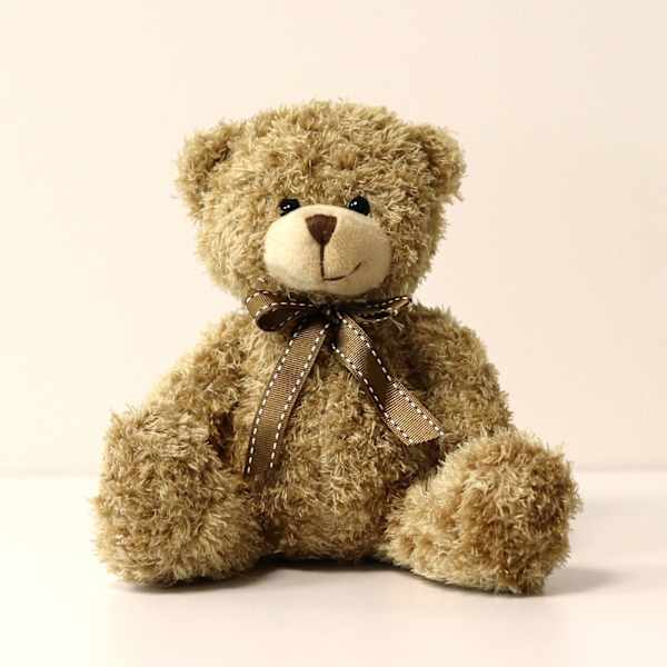 Kiss and teddy bear - Bisous et son ourson
