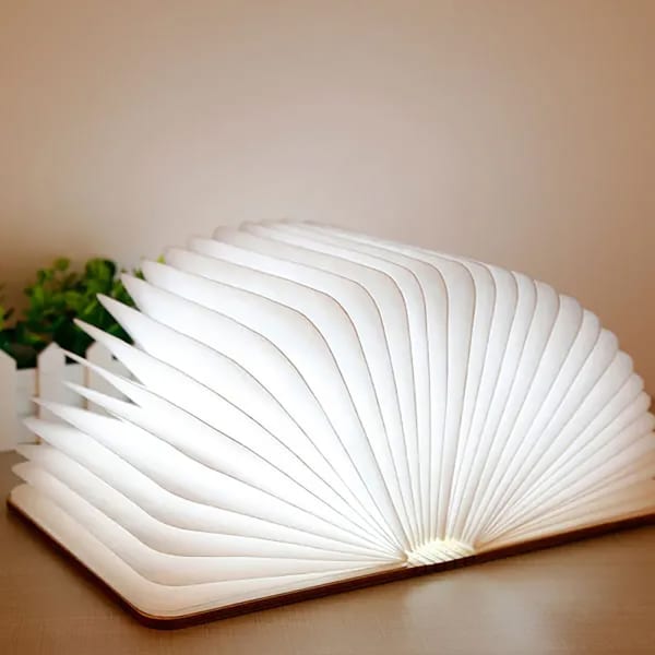 LED Book Lamp - Assorted - Single Piece