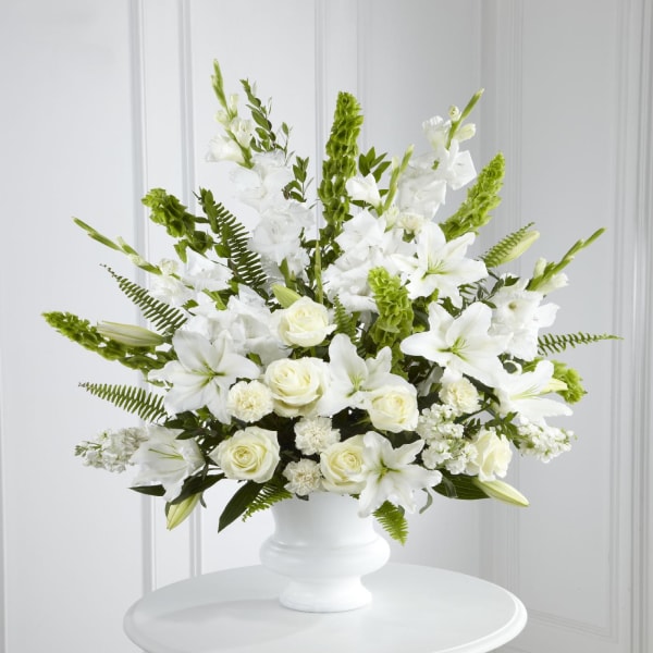 Morning Stars Arrangement