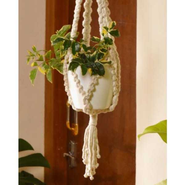 Plant Hanger - Pearl - Single Piece