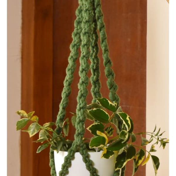 Plant Hanger - Pearl - Single Piece