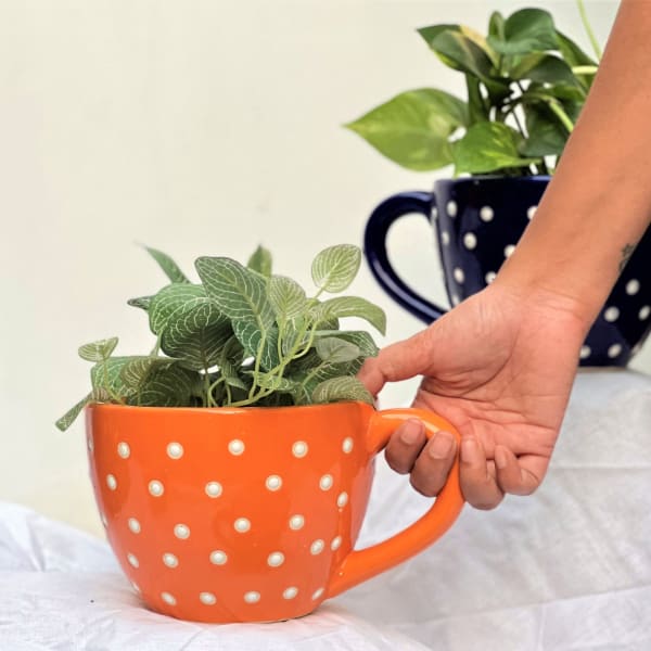 Planter - Dotted Cup - Orange - Single Piece