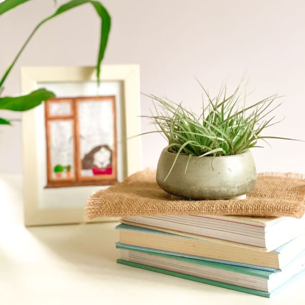 Planter - Marble