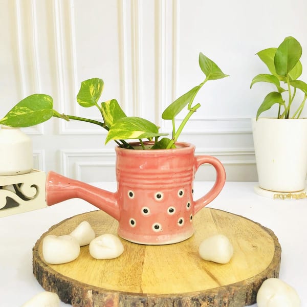 Planter - Watering Can - Single Piece