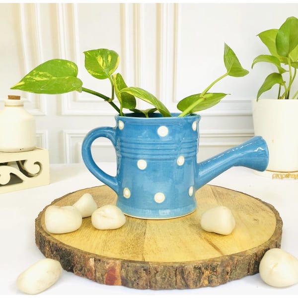 Planter - Watering Can - Single Piece