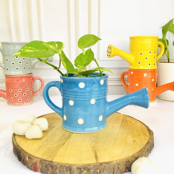 Planter - Watering Can - Single Piece