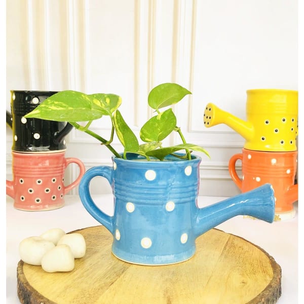 Planter - Watering Can - Single Piece