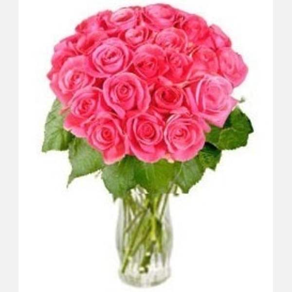 Rosy Reveries