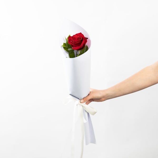 Single Red Rose