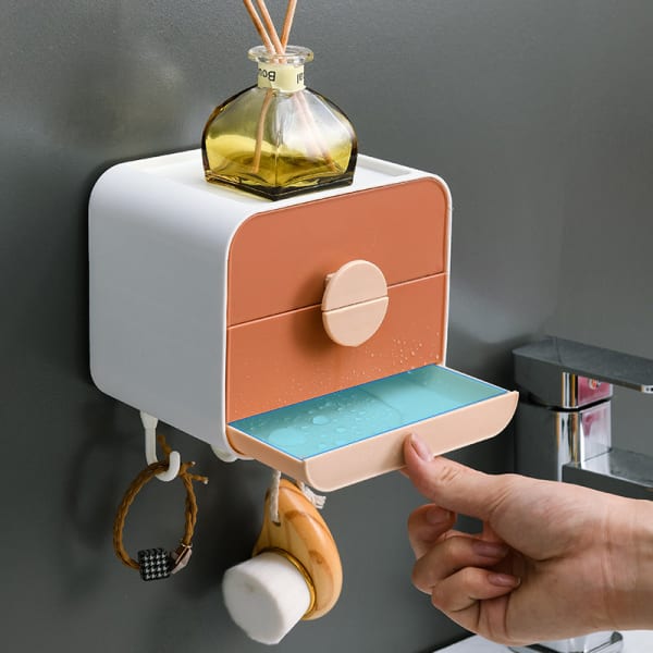 Soap Holder With Hooks - Double Layered - Single Piece