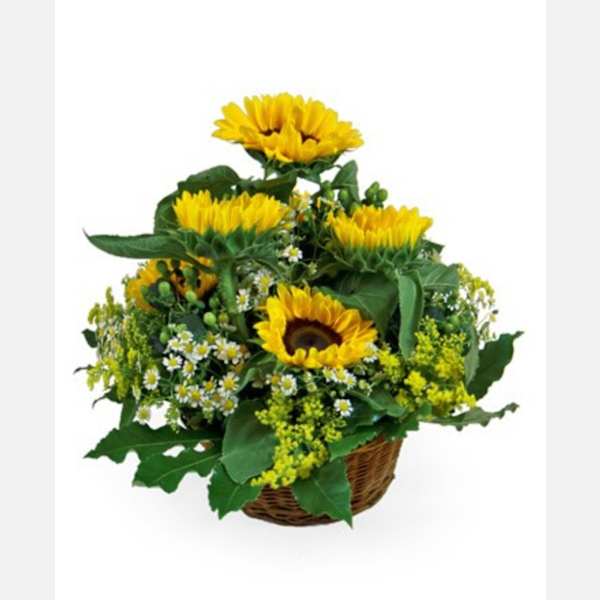 Summer Basket