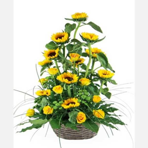 Summer gift
