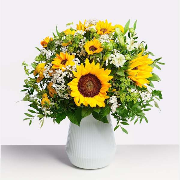 Sunflower Power