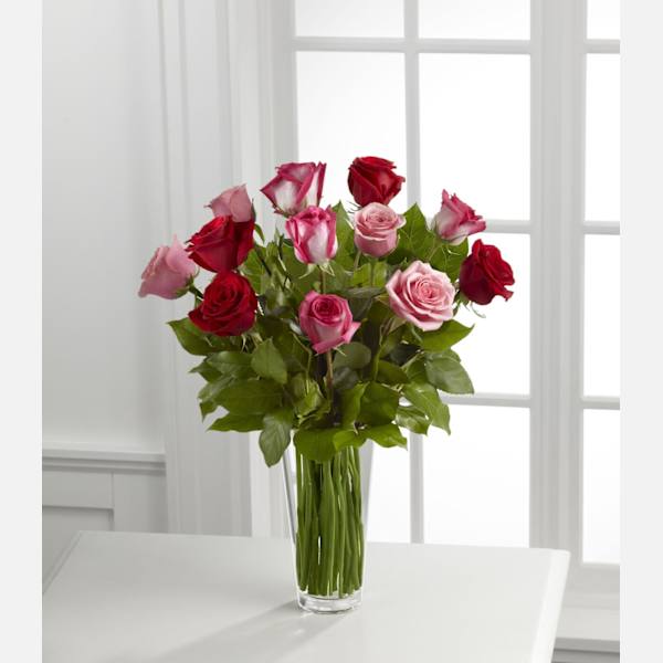 True Romance Rose
