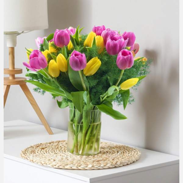 Tulips Multicolor 013