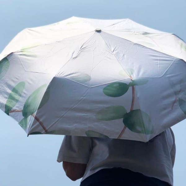 Umbrella - Leaves - White - Single Piece