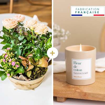Coin de paradis et bougie - Paradise and candle | Interflora