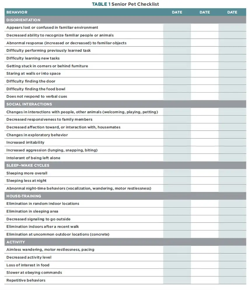 A list of attributes from vets to be aware of for dogs issues that may show signs of cognitive decline