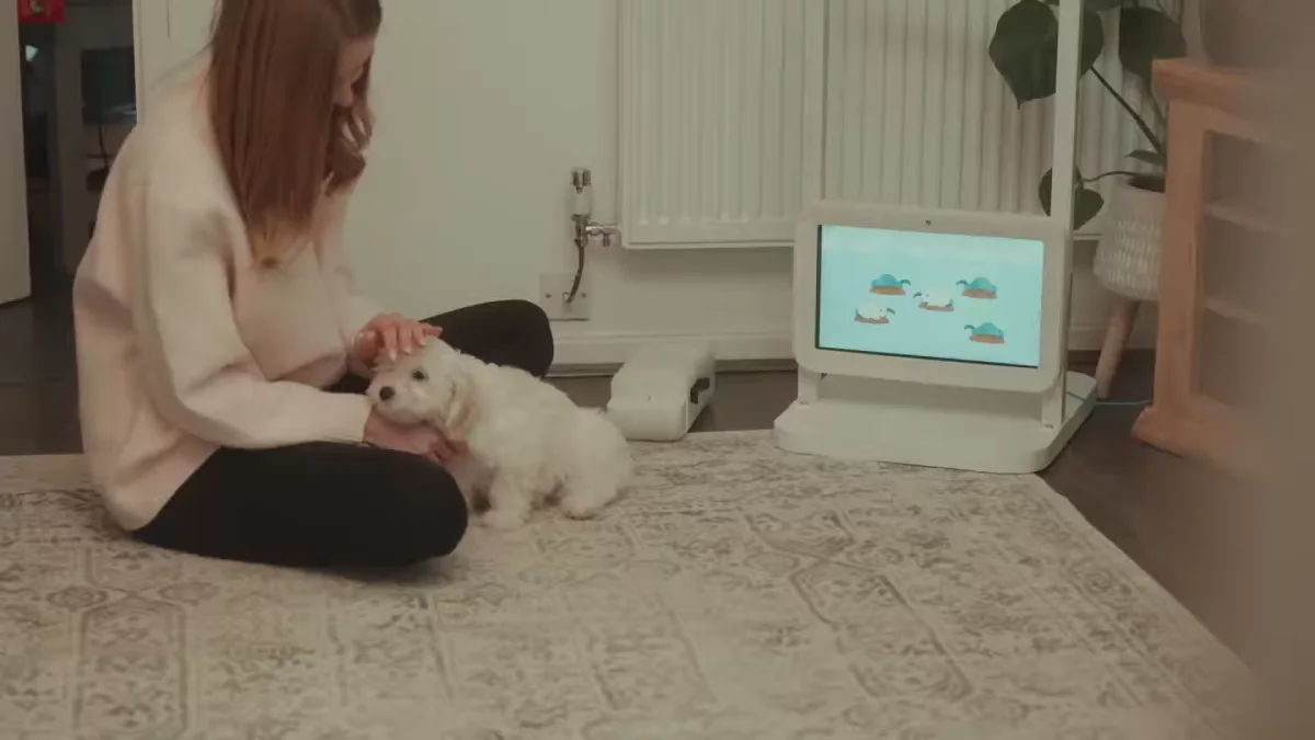 Dog using Joipaw trainer