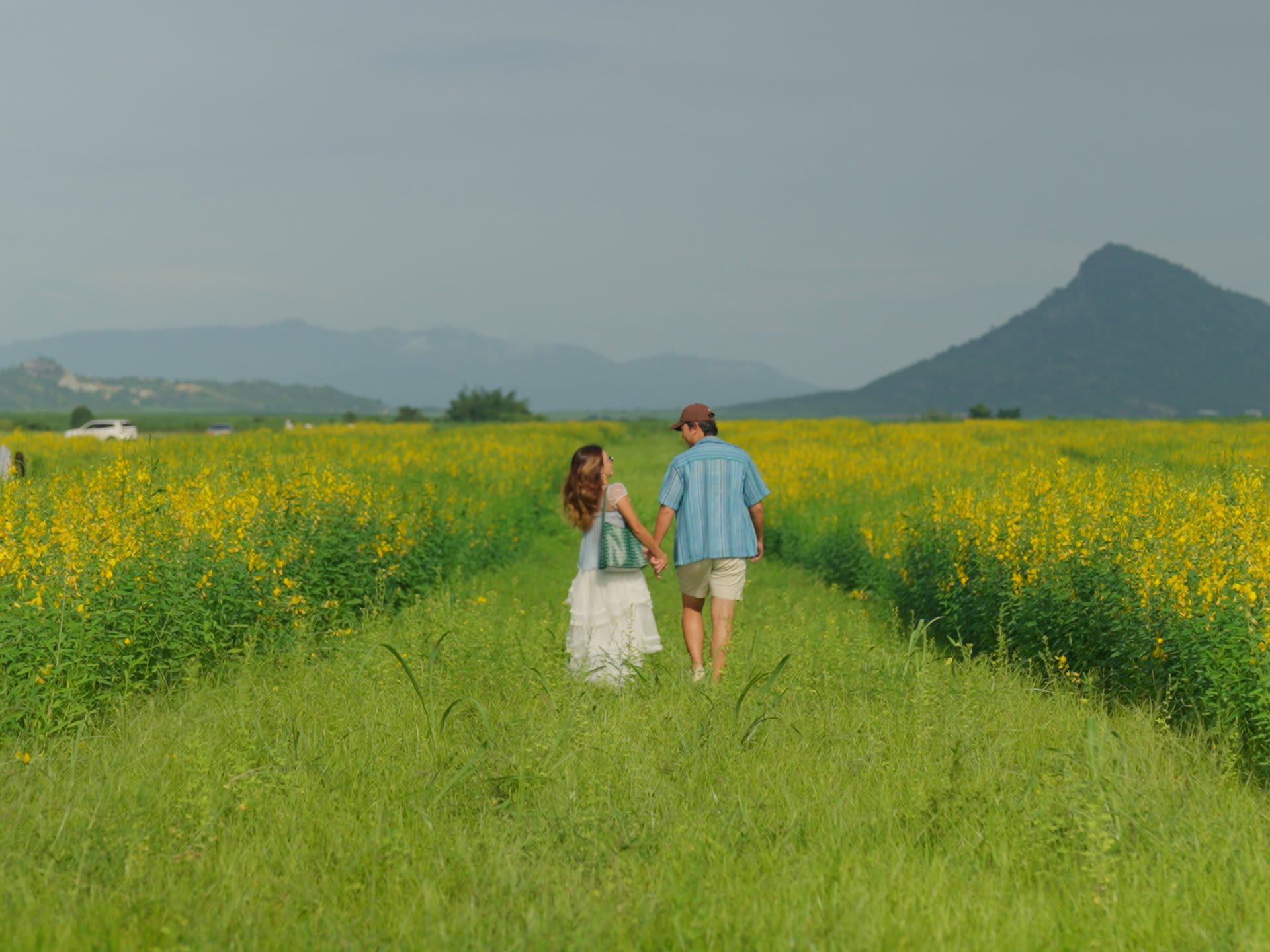 Amleang Yellow Flower Field: A Must-Visit Scenic Spot in Kampong Speu