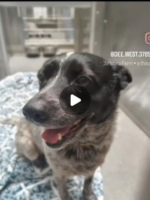 Unnamed (Downey)
