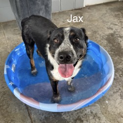 Jax