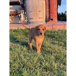 Matilda