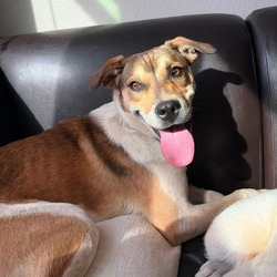Treasure- In Foster!