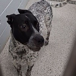 Maggie