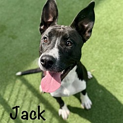 Jack