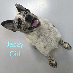 Jazzy Girl