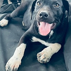 Maggie Mae