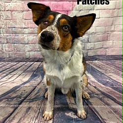 Patches