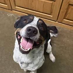 Dallas