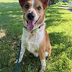 Max
