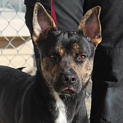 Roscoe