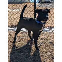 Lucas - Goofball