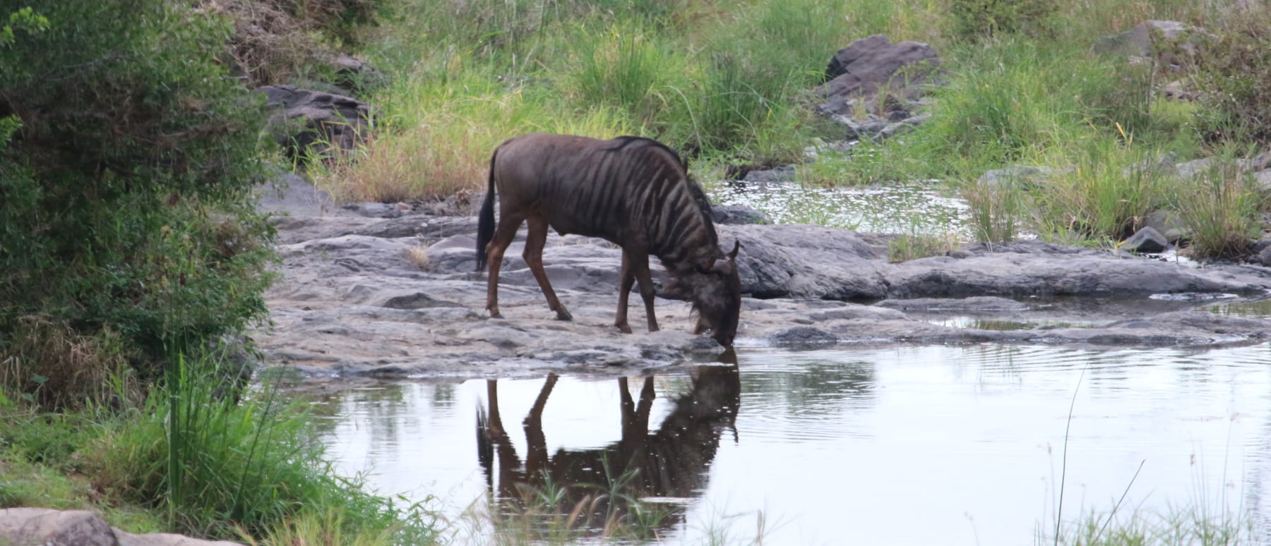 outfitter banner image